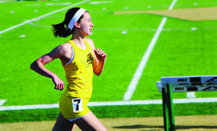 Track teams qualify for state meet