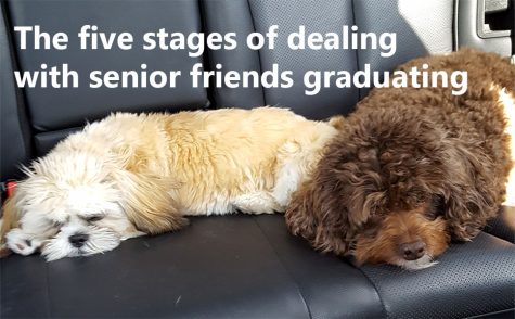 5 stages of dealing with friends who are graduating