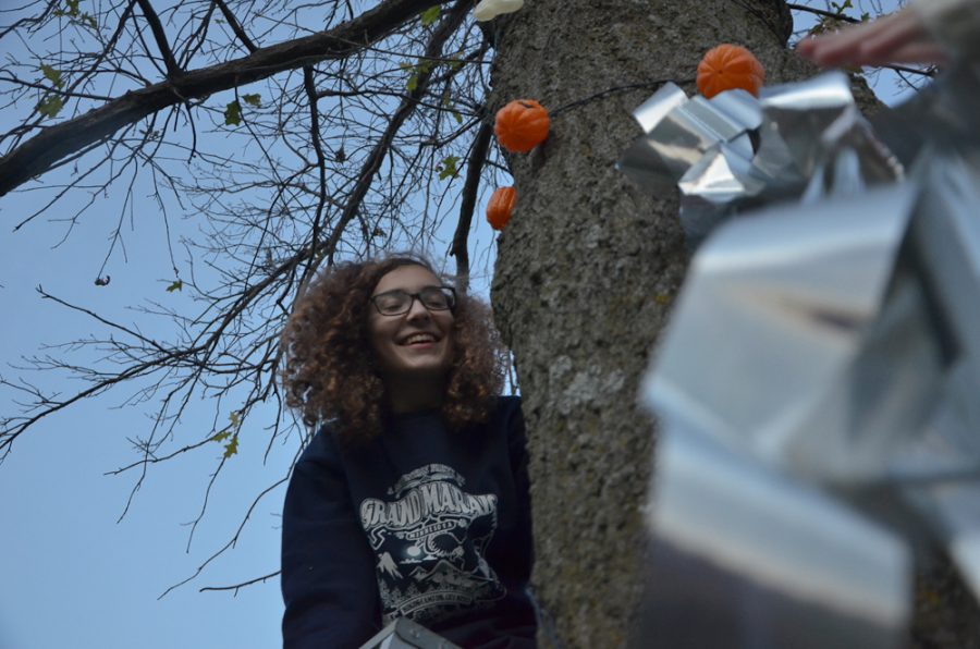 Atop a ladder, Emma Grace Shoppa 20 hangs the last of the lights in the courtyard.