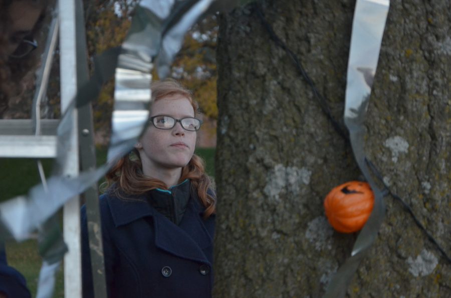 Streaming decorations are pinned to a tree as Emma Gibson '20 watches. 