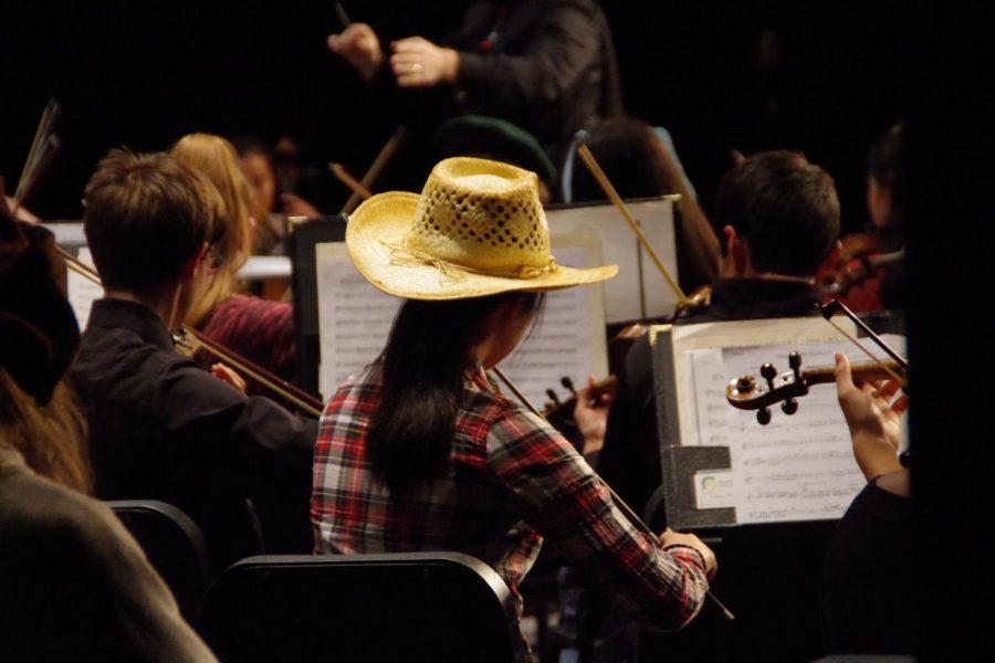 The symphony orchestra performs in costume on Oct. 26 for the Halloween fundraising concert.