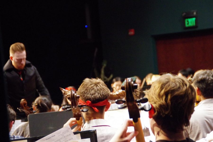 The symphony orchestra performs in costume on Oct. 26 for the Halloween fundraising concert.