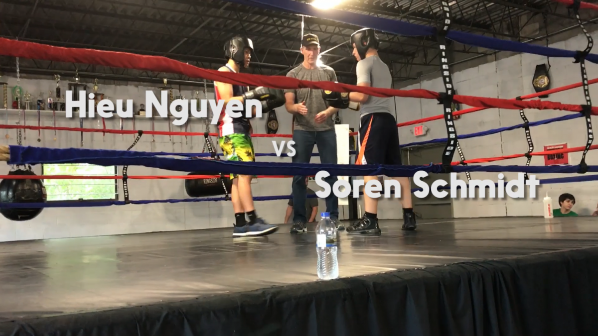 Boxer vs. black belt