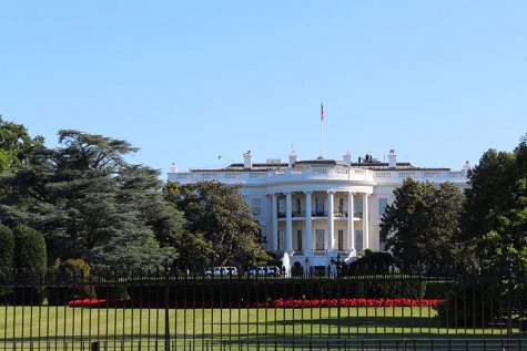 Being a liberal high school student in Trump’s America