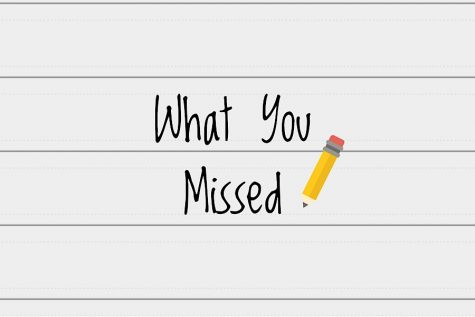 What you missed at the end of first trimester