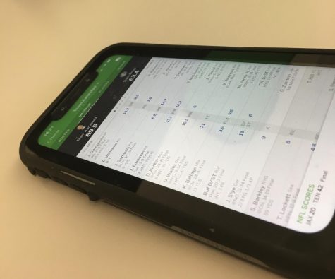 Fantasy football is an online game played by students at West High against one another.
