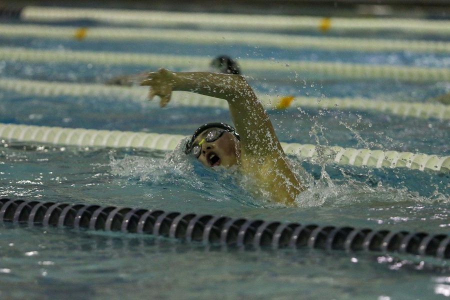 Andy Luo '22 swims in the 500-yard freestyle against City on Jan. 21.