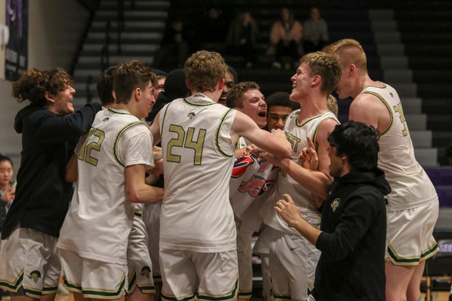 Nick Pepin 20 and his teammates celebrate as they advance to the state tournament in their win over Pleasant Valley on March 3.