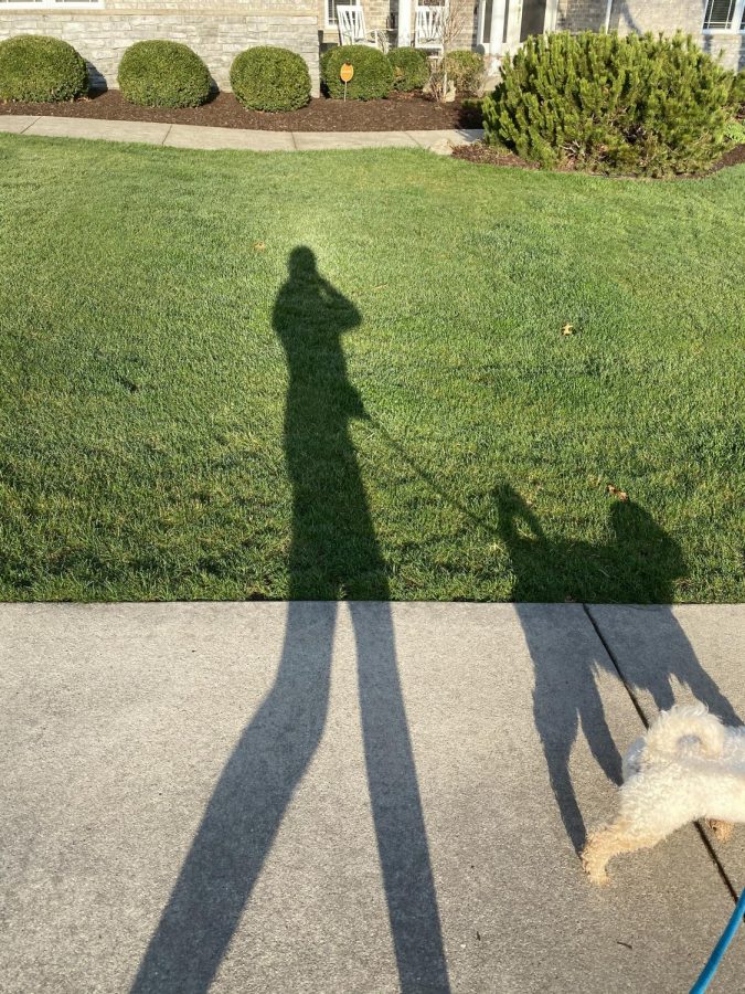 Melissa Uc ‘23 and her dog enjoy a sunny spring morning and explore the suns lighting.