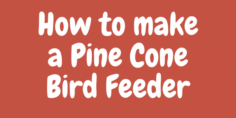 How to make a pine cone bird feeder