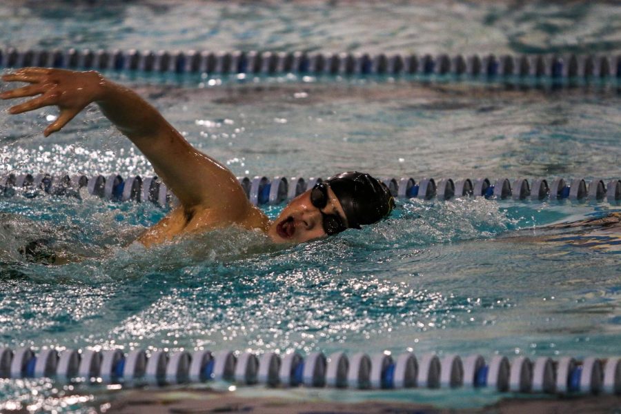 Andy Luo '22 swims in the 500 Freestyle against Waterloo on Dec. 15 at the Coralville Rec Center.