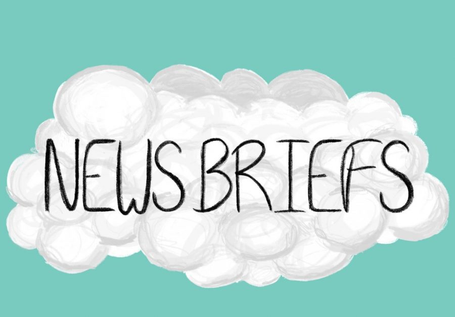 News+briefs