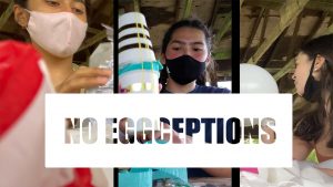 No eggceptions