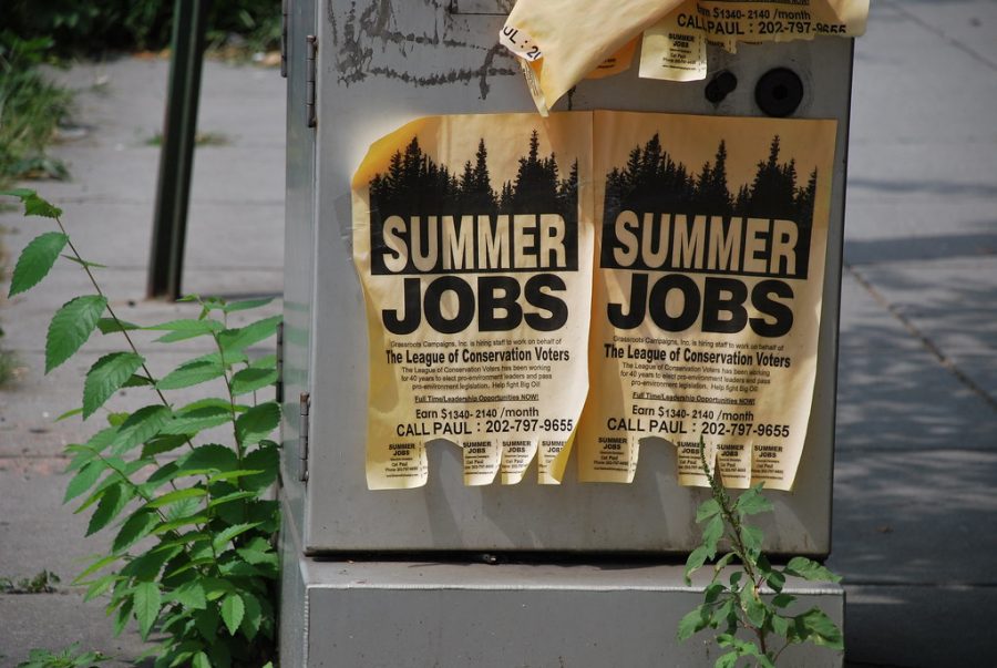 Summer+jobs%3A+the+good%2C+the+bad+and+the+ugly