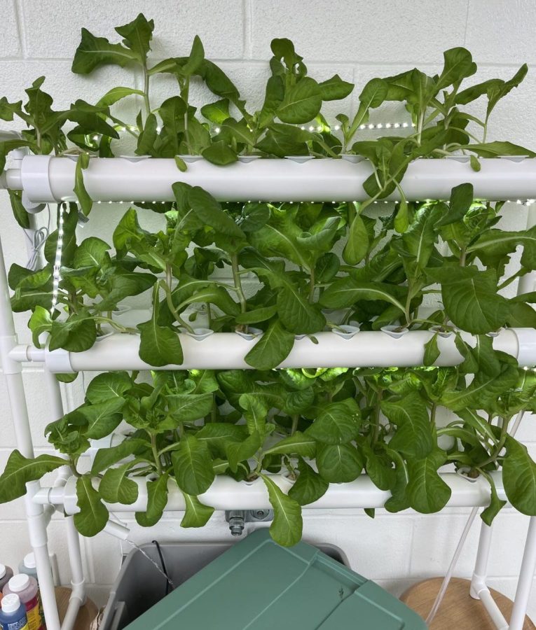 17.8 million people in the United States still do not have access to fresh produce, and many more do not have the funds to pay for fresh foods regularly.