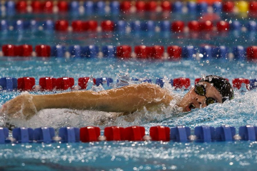 Jade Roghair 23 swims her leg of the 400 yard freestyle relay during the IGHSAU State Swimming and Diving Championships in Marshalltown on Nov. 13.