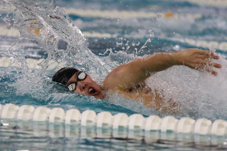 Nik Sung 22 swims his leg of the 400 yard Freestyle relay the during the annual Battle for the Golden Speedo on Jan. 18.