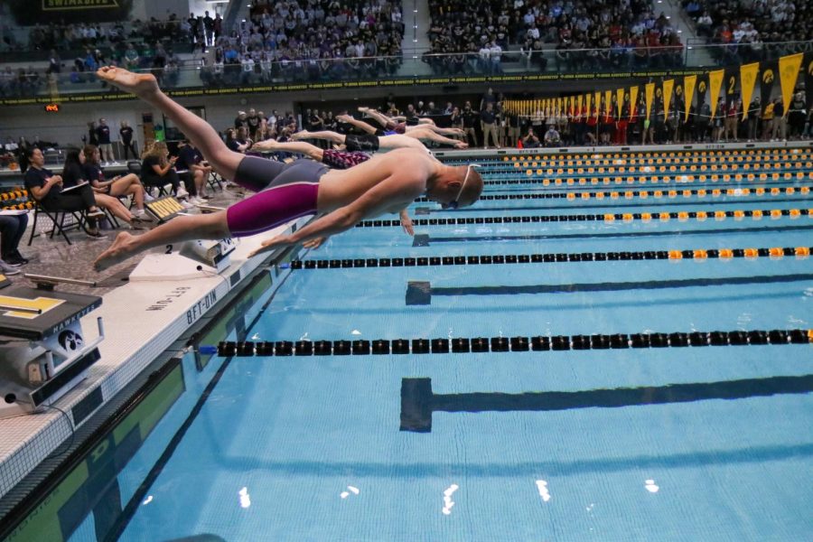  Max Gerke '24 dives into the pool to start the 500 freestyle state final on Feb. 12.