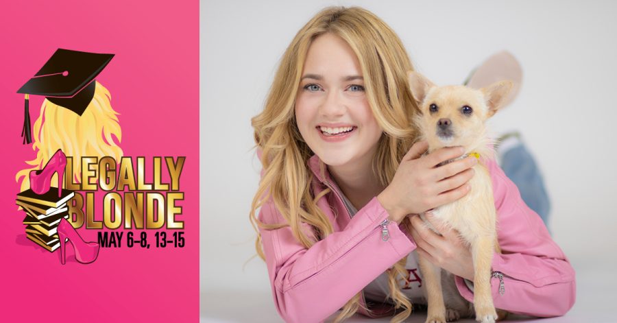 City Circle Theatre Company’s productions of “Legally Blonde the Musical” are happening in the coming weeks.