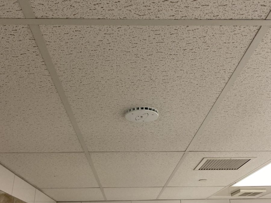 Vape sensors are located on the ceilings in every bathroom. 