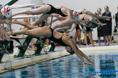 The Little Hawks and Trojan-Bolts dive into the pool to start a race in the dual meet on September 27, 2022. 