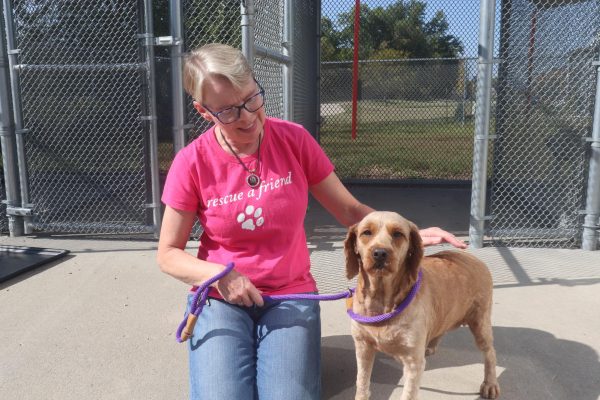 Shelter volunteer Donna Gentry poses with one of the rescued dogs named Patsy. 