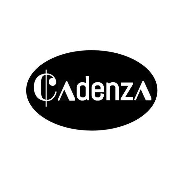 Q&A with Cadenza's 2023-24 executive board