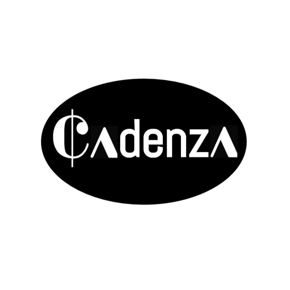 Q&A with Cadenzas 2023-24 executive board