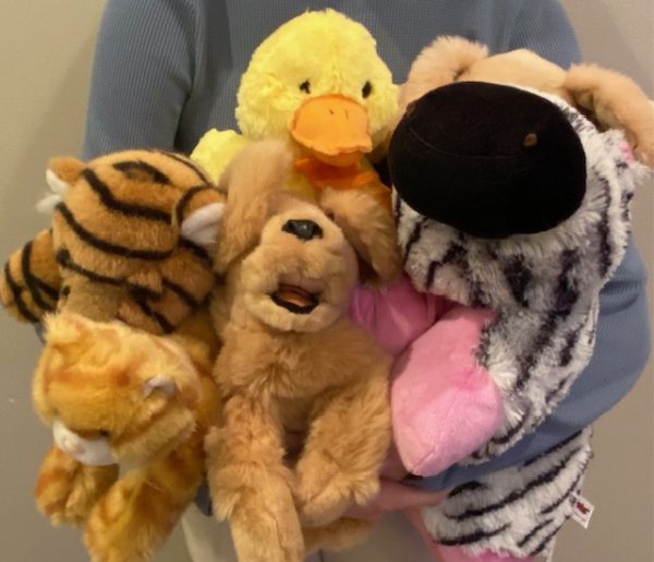 Stuffed animal donations can be left either in the main office or foreign language classrooms.