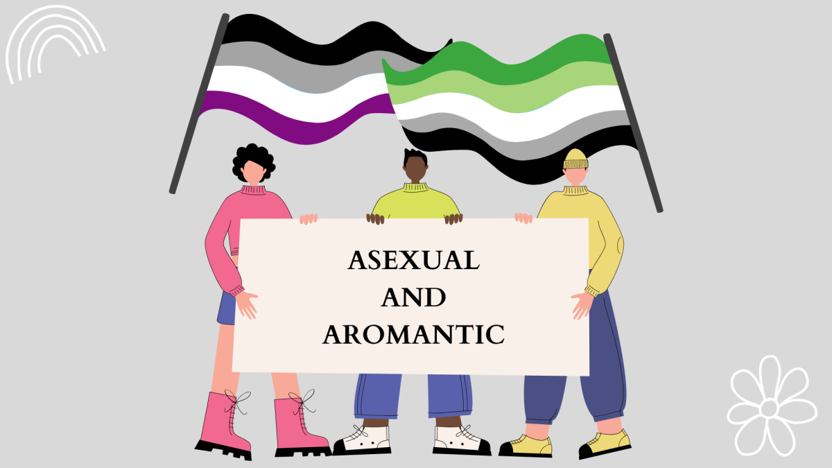 Aromanticism and asexuality at West High