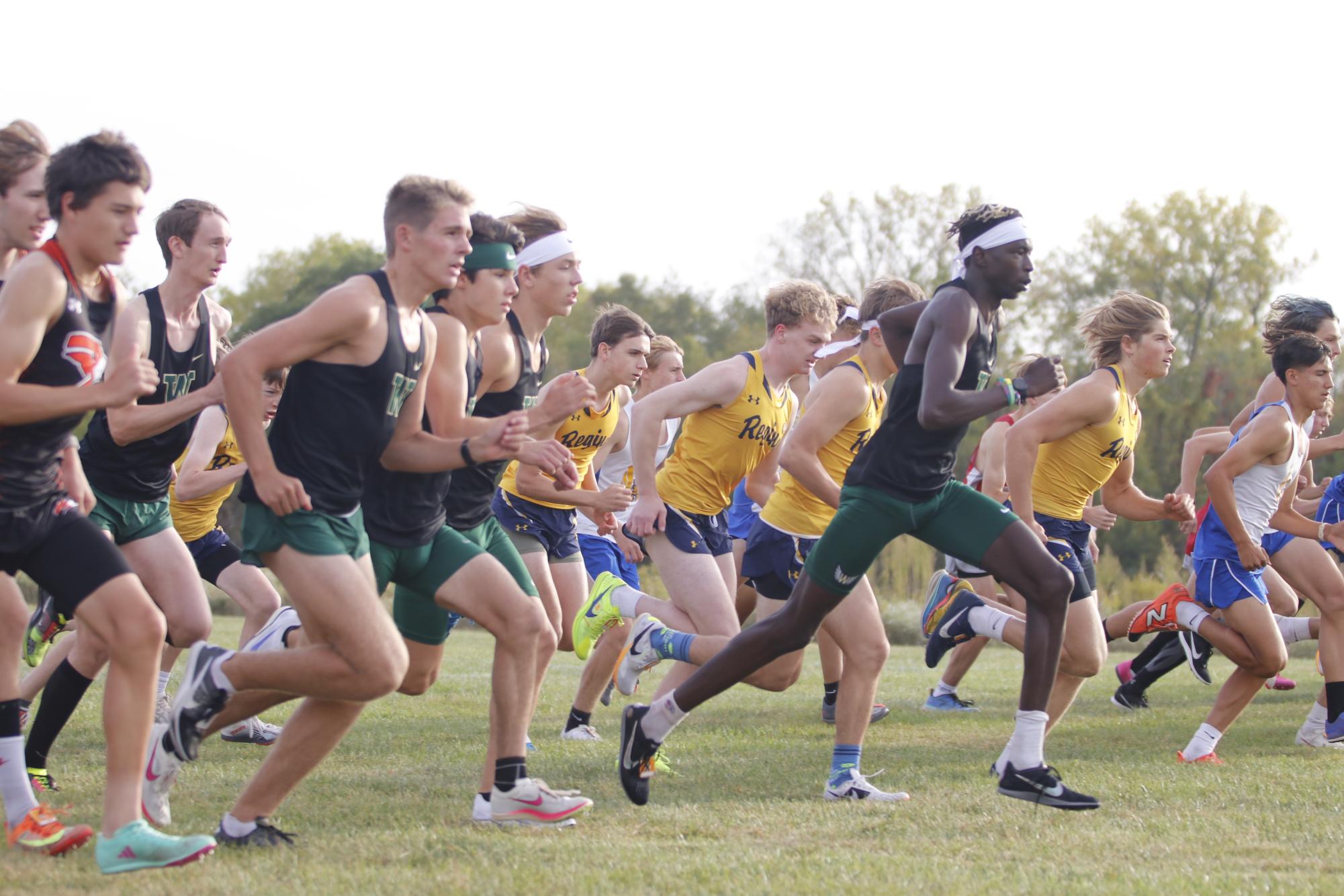 Boys cross country beats ranked team at home meet