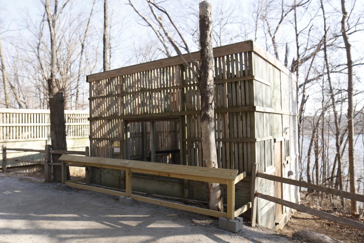 A mew along the path of the Iowa Raptor Project. 