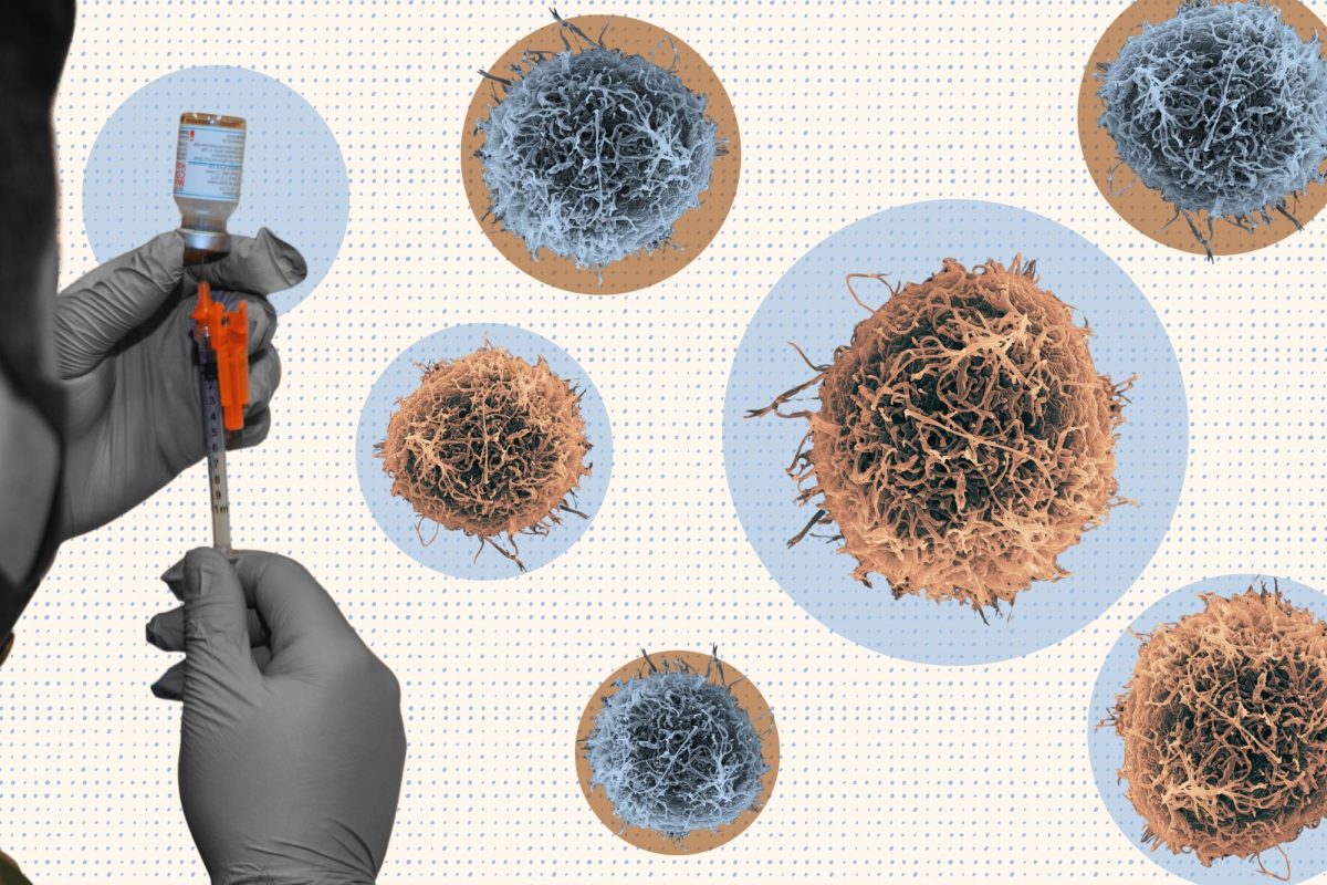 WSS dives into vaccine debates