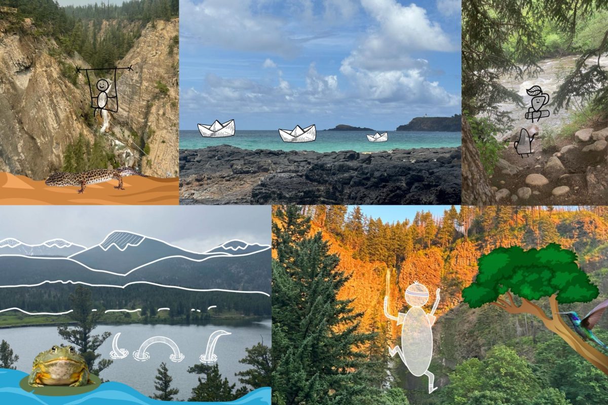 National parks are experiencing numerous systematic changes. 