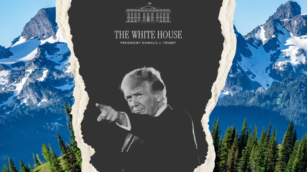 An image of the wilderness ripping in half over top of a picture of Donald Trump.