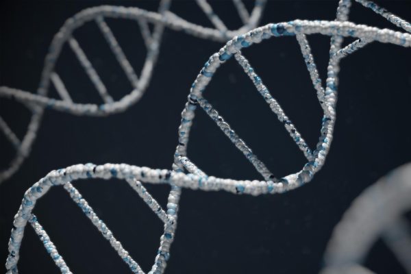 Epigenetics is a meeting of many factors, ranging from inherited conditions to current environmental surroundings