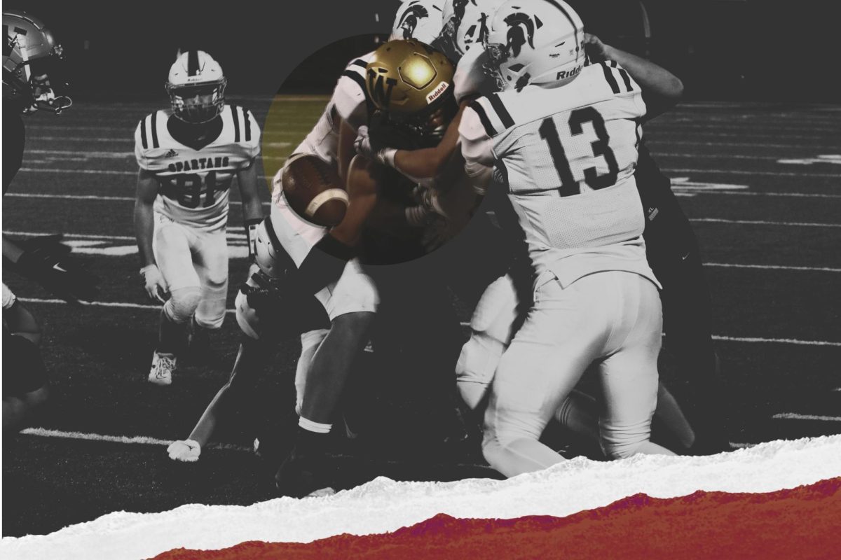 Boys tackle football has the highest concussion rate of youth sports.