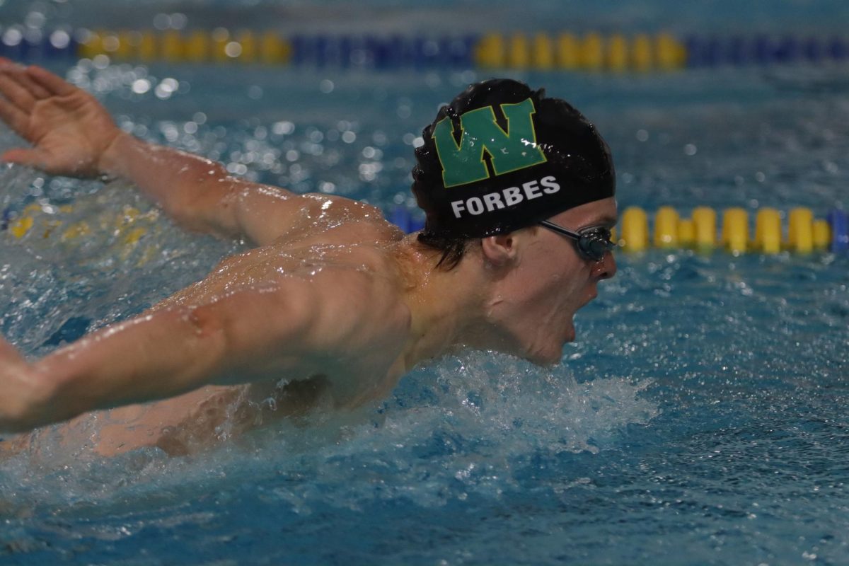 Alex Forbes '26 slices through the water Jan. 13. 