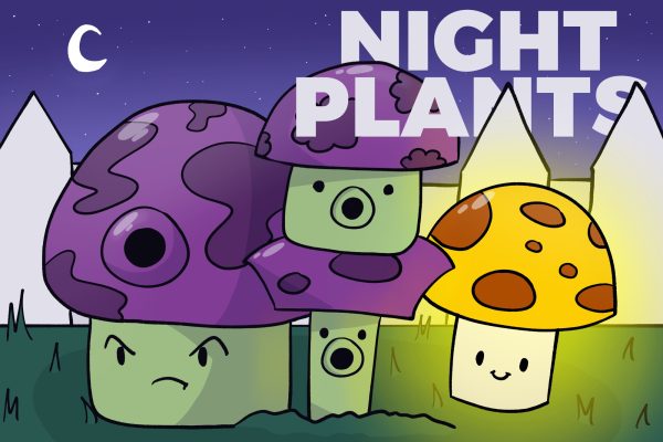 Most of the night plants are mushroom-based.