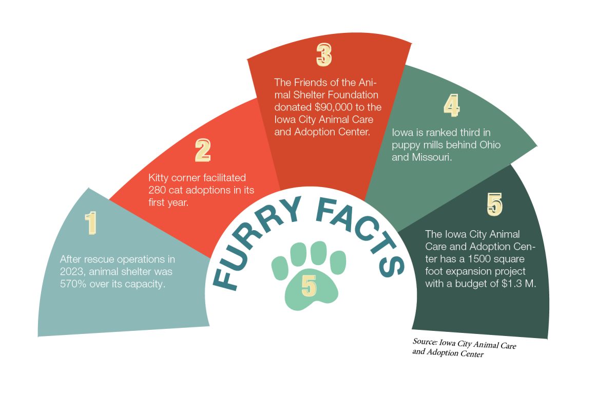 animal shelter infographic 3