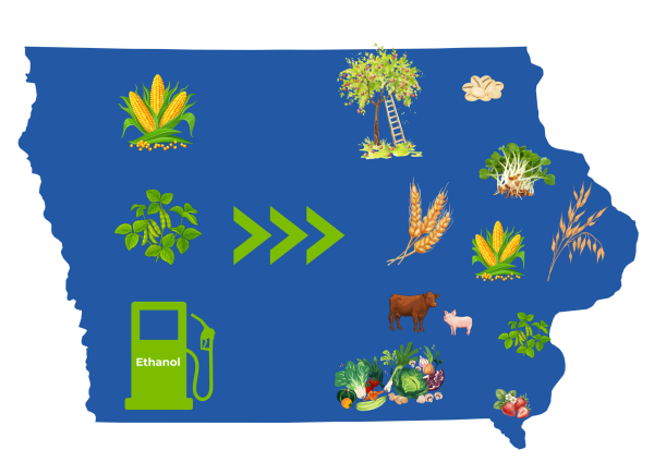Chris Jones advocates for crop diversification and moving out of the corn-soy-ethanol model.